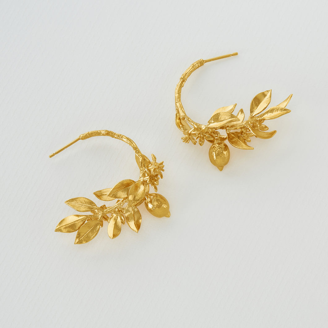 Lemon Blossom Branch Hoop Earrings with Hanging  Lemons, Gold Plated