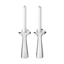 Load image into Gallery viewer, Bloom Botanica Candleholders, 2pcs

