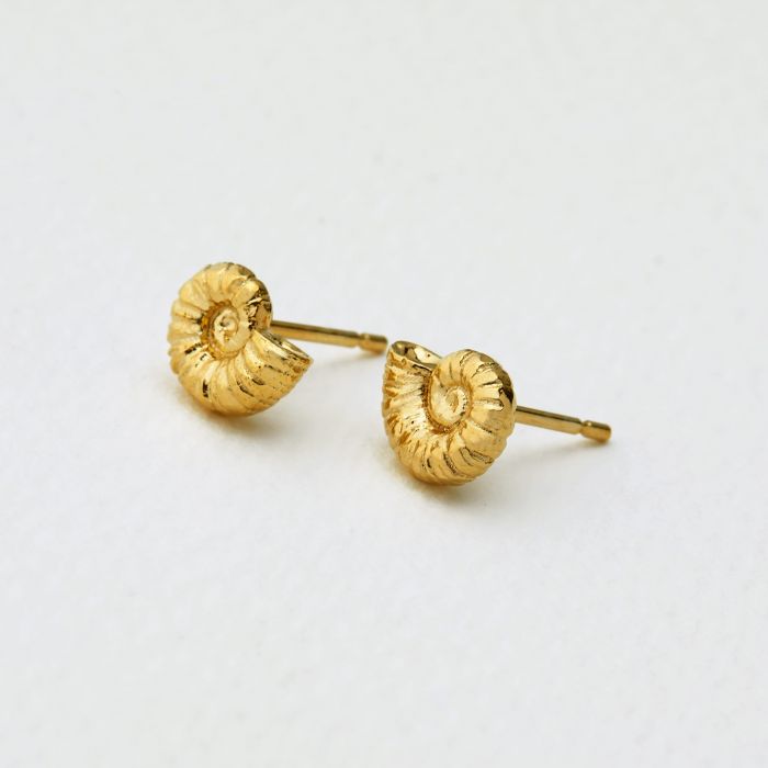 Ammonite Stud Earrings Gold